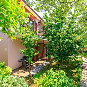https://apartments-lavanda-rovinj.in-istria.net